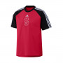 Ajax de Ámsterdam Fanswear 2021-2022 Bold Red