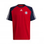 FC Bayern de Múnich Fanswear 2021-2022 True Red-Night Indigo