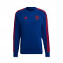 FC Bayern de Múnich Training 2021-2022 Mystery Ink-True Red