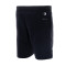 Nike Flex Vent Shorts