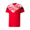 Camiseta AC Milan Fanswear 2022-2023 Tango Red-Black