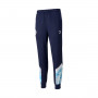 Manchester City FC Fanswear 2021-2022 Peacoat-Team Light Blue