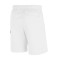 Nike Sportswear Club Swoosh Shorts