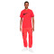 Jersey Nike Sportswear Icon Swoosh
