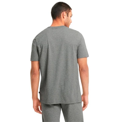 Camiseta Essentials Logo