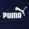 Puma Essentials Shorts