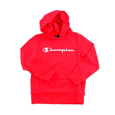Sudadera Niño Authentic Big Logo
