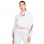 PSG x Jordan Fanswear Mujer Birch Heather