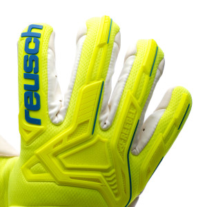 DORSO-1