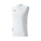 Camiseta Neymar Jr Thrill Sl Puma White