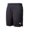 Puma IndividualRISE Shorts