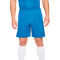 Nike Academy 21 Knit Shorts