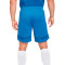 Nike Academy 21 Knit Shorts