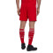 Pantalón corto FC Bayern de Múnich Primera Equipación 2022-2023 Red