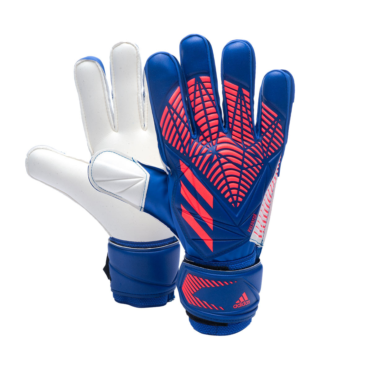 predator white and blue