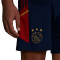 Pantalón corto Ajax de Ámsterdam Training 2022-2023 Navy Blue