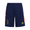 Pantalón corto Ajax de Ámsterdam Training 2022-2023 Niño Navy Blue