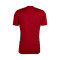 Camiseta Ajax de Ámsterdam Training 2022-2023 Victory Red