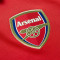 Camiseta Arsenal FC Primera Equipación 2022-2023 Niño Scarlet-White