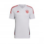 FC Bayern de Múnich Training 2022-2023 Branco