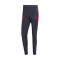 Pantalón largo FC Bayern de Múnich Training 2022-2023 Night Grey