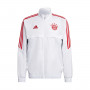 FC Bayern de Múnich Training 2022-2023 White