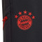 Pantalón largo FC Bayern de Múnich Training 2022-2023 Niño Night Grey