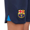 Nike FC Barcelona Primera Equipación Stadium 2022-2023 Kind Shorts