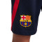 Pantalón corto FC Barcelona Training 2022-2023 Niño Obsidian-University Red