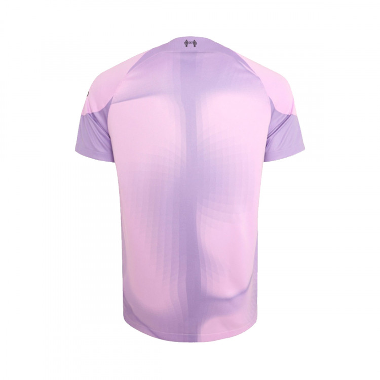 camiseta-nike-liverpool-fc-primera-equipacion-stadium-portero-2022-2023-lilac-space-purple-1.jpg