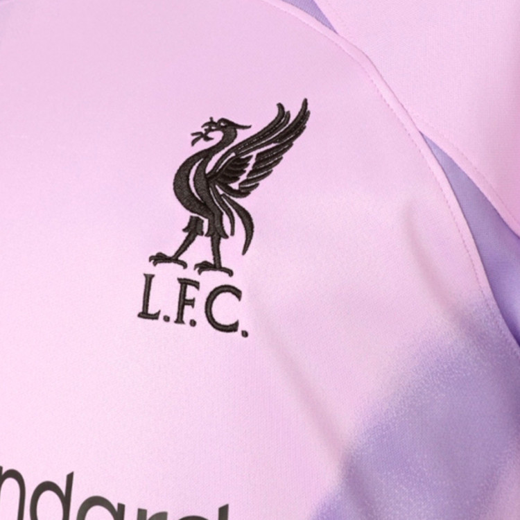 camiseta-nike-liverpool-fc-primera-equipacion-stadium-portero-2022-2023-lilac-space-purple-6.jpg