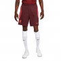 Liverpool FC Training 2022-2023 Burgundy Crush-Siren Red