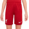 Nike Kids Liverpool FC Home Kit Stadium 2022-2023 Shorts