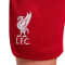 Nike Kids Liverpool FC Home Kit Stadium 2022-2023 Shorts