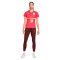 Maglia Nike Olanda Training Euro 2022 Donna