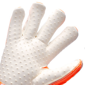 PALM-0