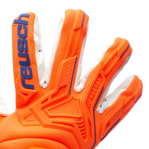 DORSO-1