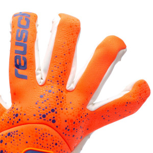 DORSO-1