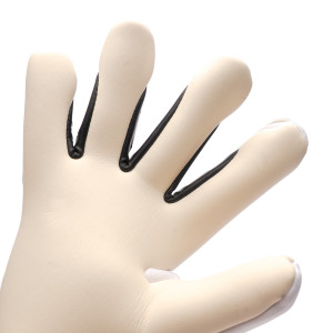 PALM-0