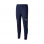 Italy Training 2022-2023 Peacoat-Ignite Blue