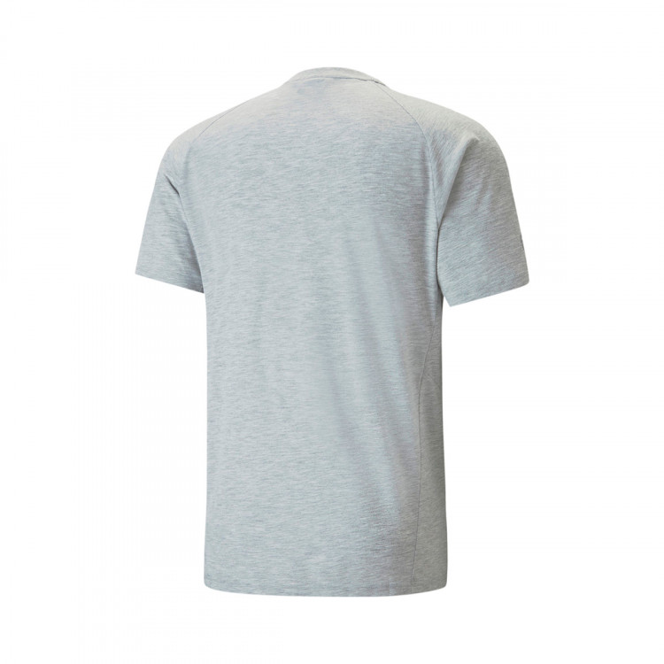 camiseta-puma-valencia-cf-fanswear-2022-2023-light-gray-heather-black-1