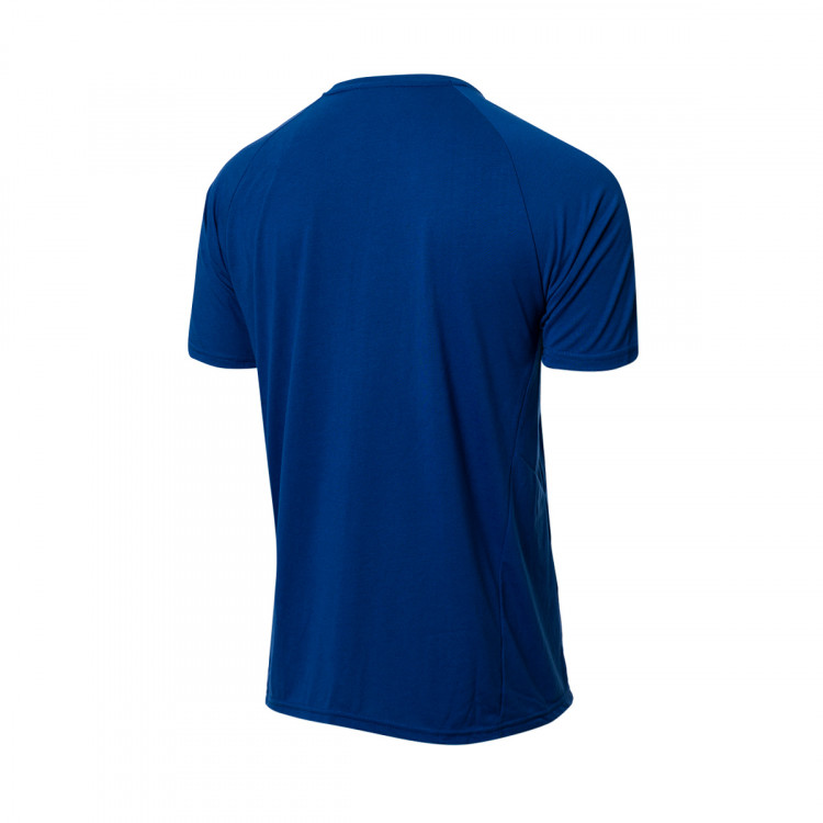 camiseta-puma-olympique-de-marsella-fanswear-2022-2023-limoges-harbor-mist-1.jpg