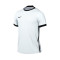 Nike Dri-Fit Challenge IV s/s Jersey