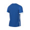 Maillot Nike Dri-Fit Challenge IV m/c