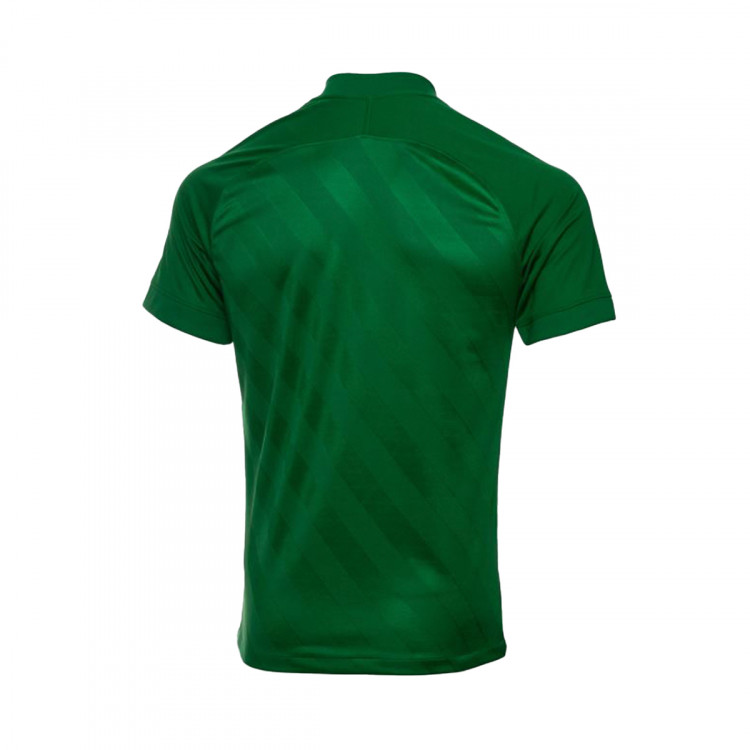 camiseta-nike-sporting-de-portugal-pre-match-2021-2022-green-1.jpg
