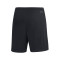 adidas Entrada 22 Shorts