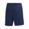 adidas Entrada 22 Shorts