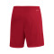 adidas Entrada 22 Shorts