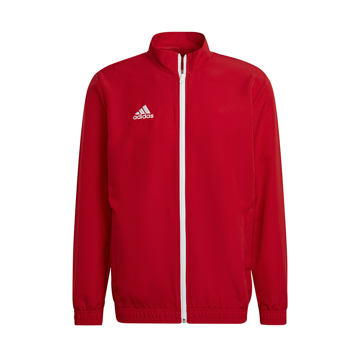 Jacket adidas Entrada 22 Presentation 