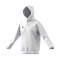 adidas Entrada 22 Hoody Sweatshirt